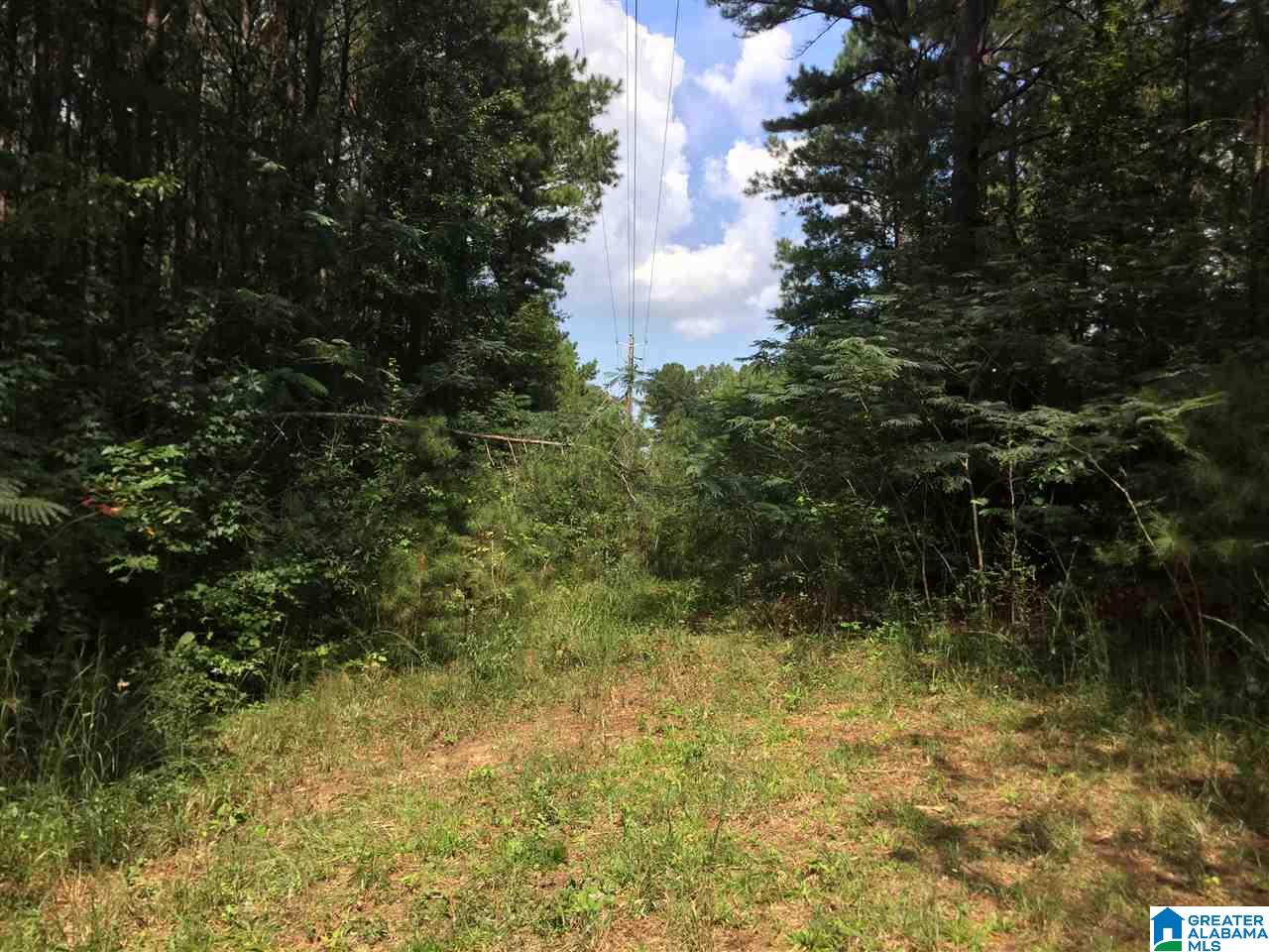 8095 Fishing Camp Road, Unit 36 001 Mulga, AL 35118 - Photo 7 of 10