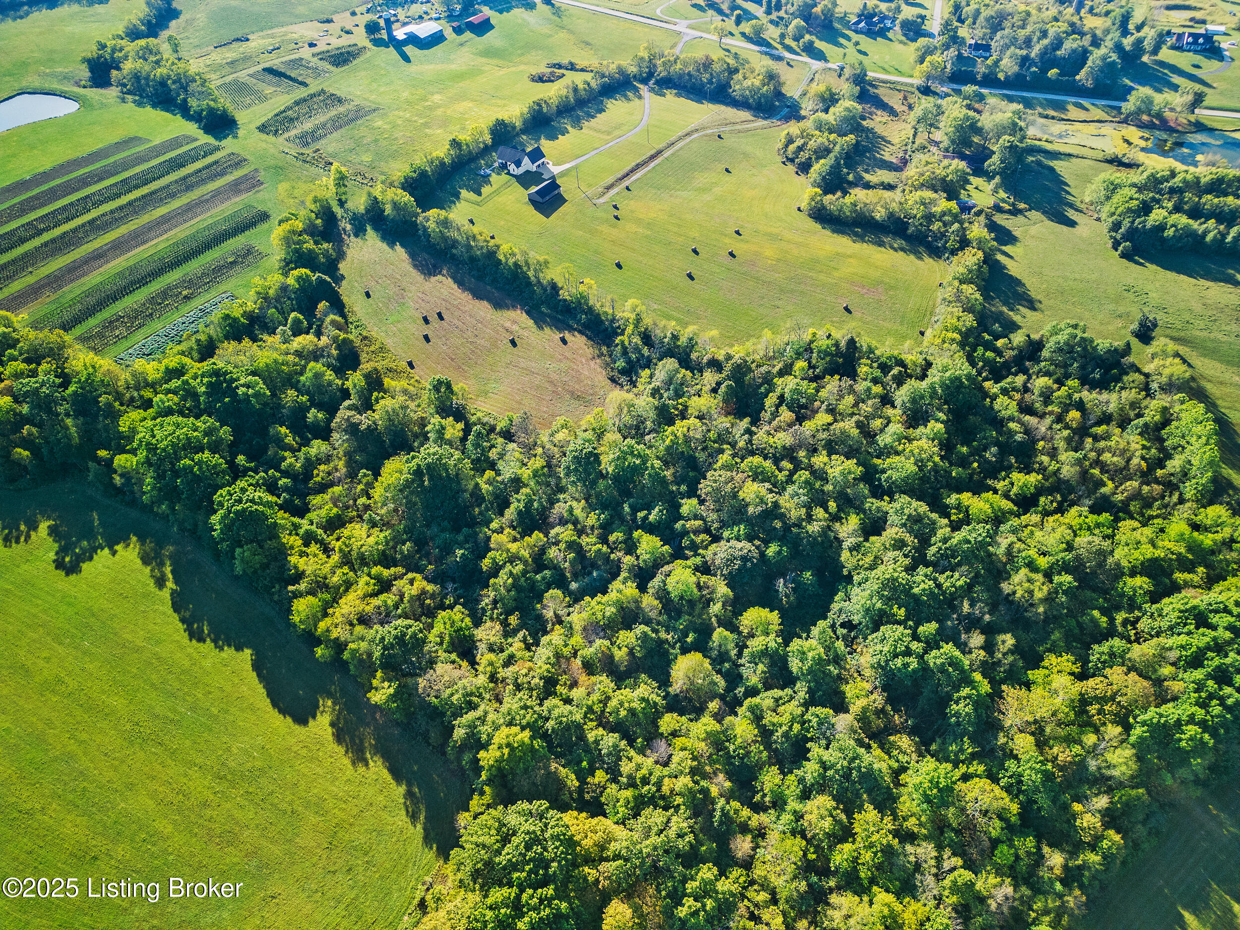 T5 Aiken Road Simpsonville, KY 40067 - Photo 8 of 16 6