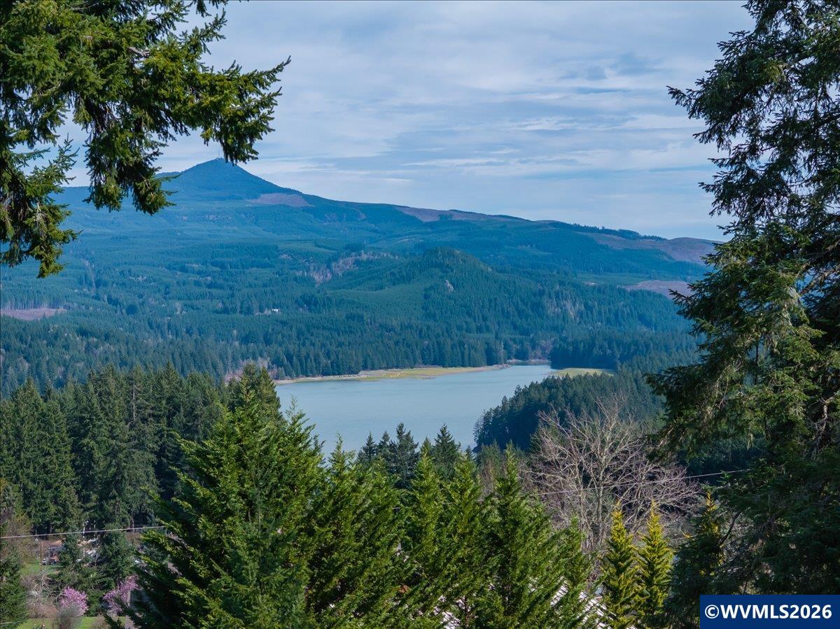 27579 Riggs Hill Road Foster, OR 97345 - Photo 8 of 50