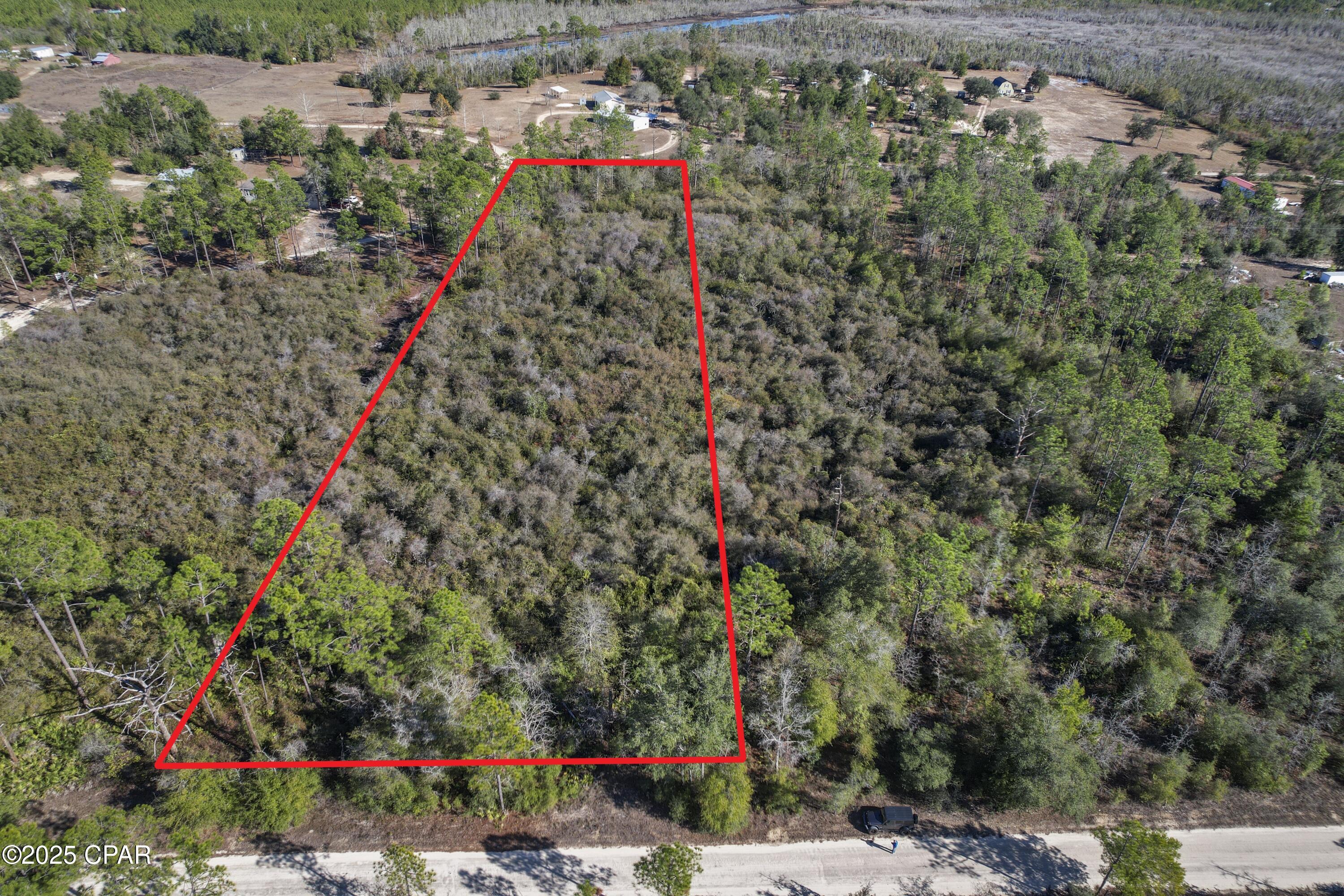 0 Stevens Road Altha, FL 32421 - Photo 2 of 15