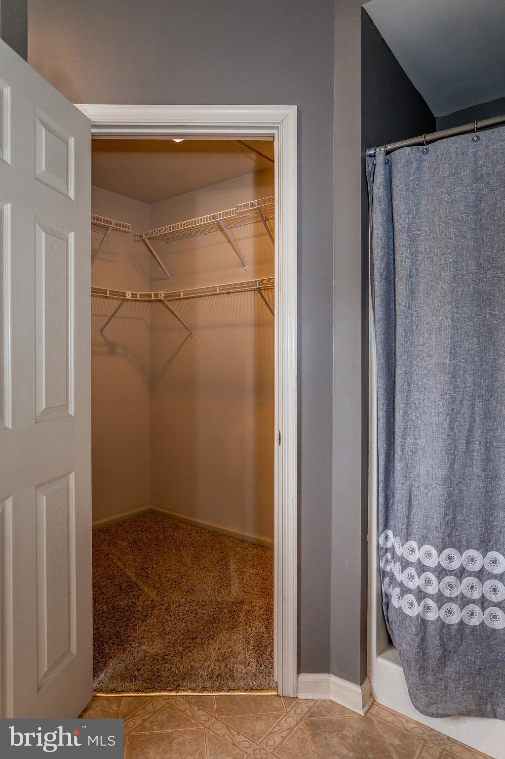 209 East 6th Street Lititz, PA 17543 - Photo 43 of 54