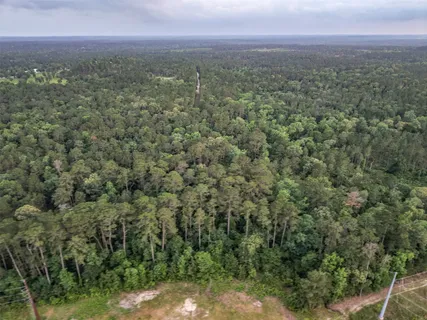 a view of a city with lush green forest