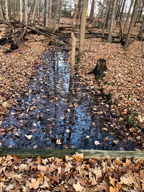 0 East Brocker Road Metamora, MI 48455 - Photo 23 of 25