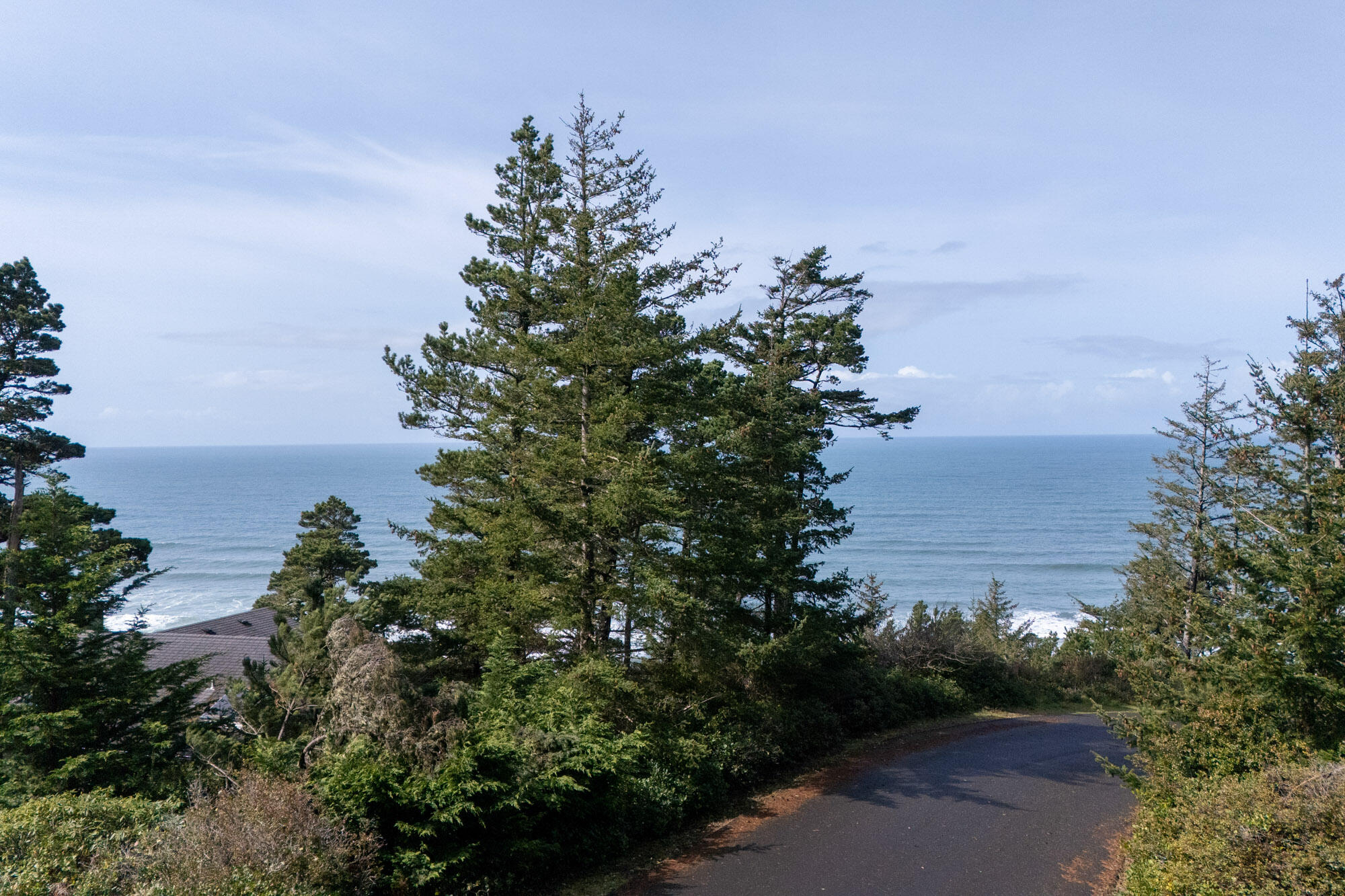 303 Ridgewood Road Tillamook, OR 97141 - Photo 5 of 10 view from lot