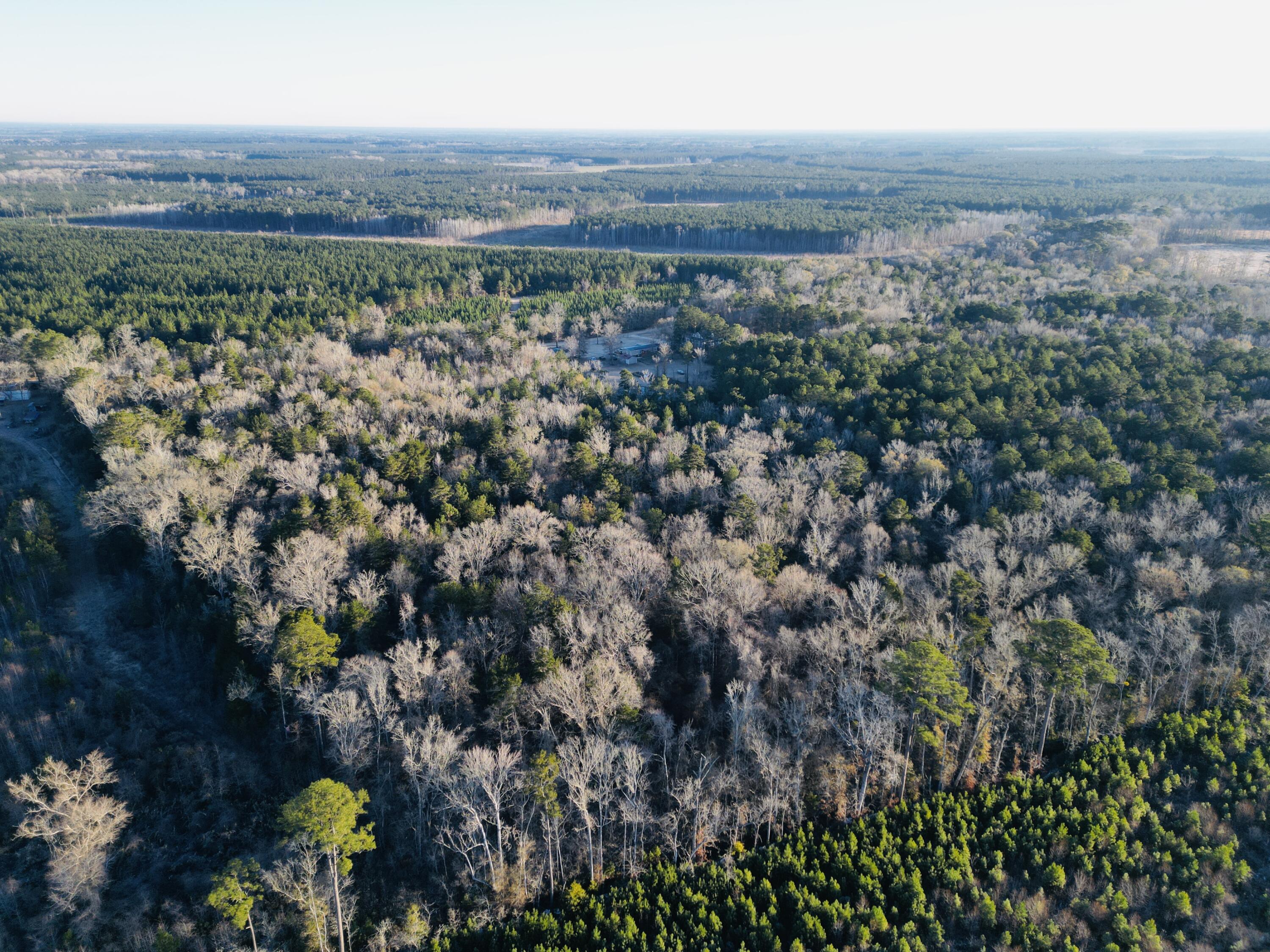 0 Hyde Park Road Adams Run, SC 29426 - Photo 11 of 37 11