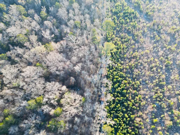 $350,000 | 0 Hyde Park Road, Adams Run, SC 29426