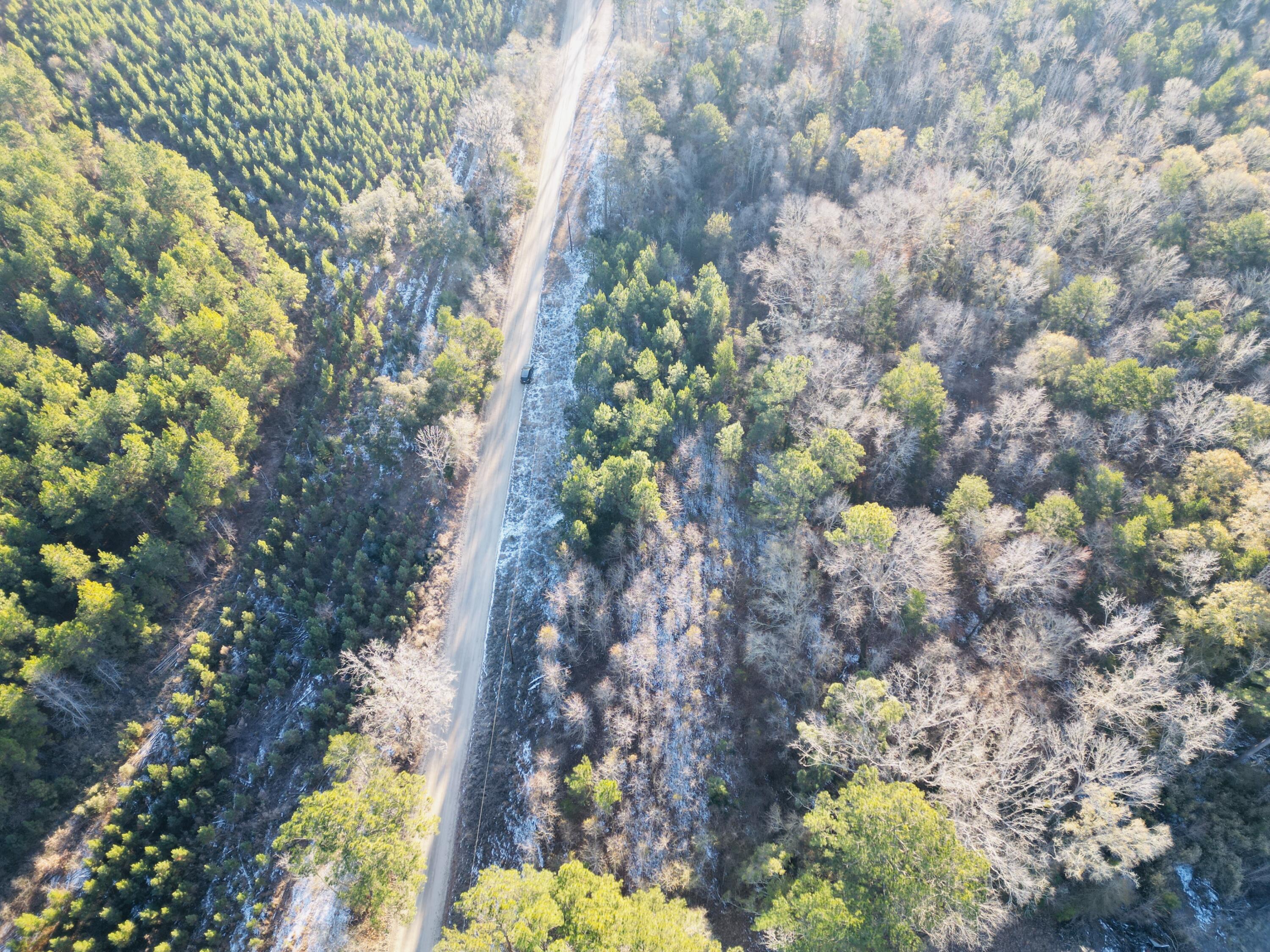 0 Hyde Park Road Adams Run, SC 29426 - Photo 14 of 37 14