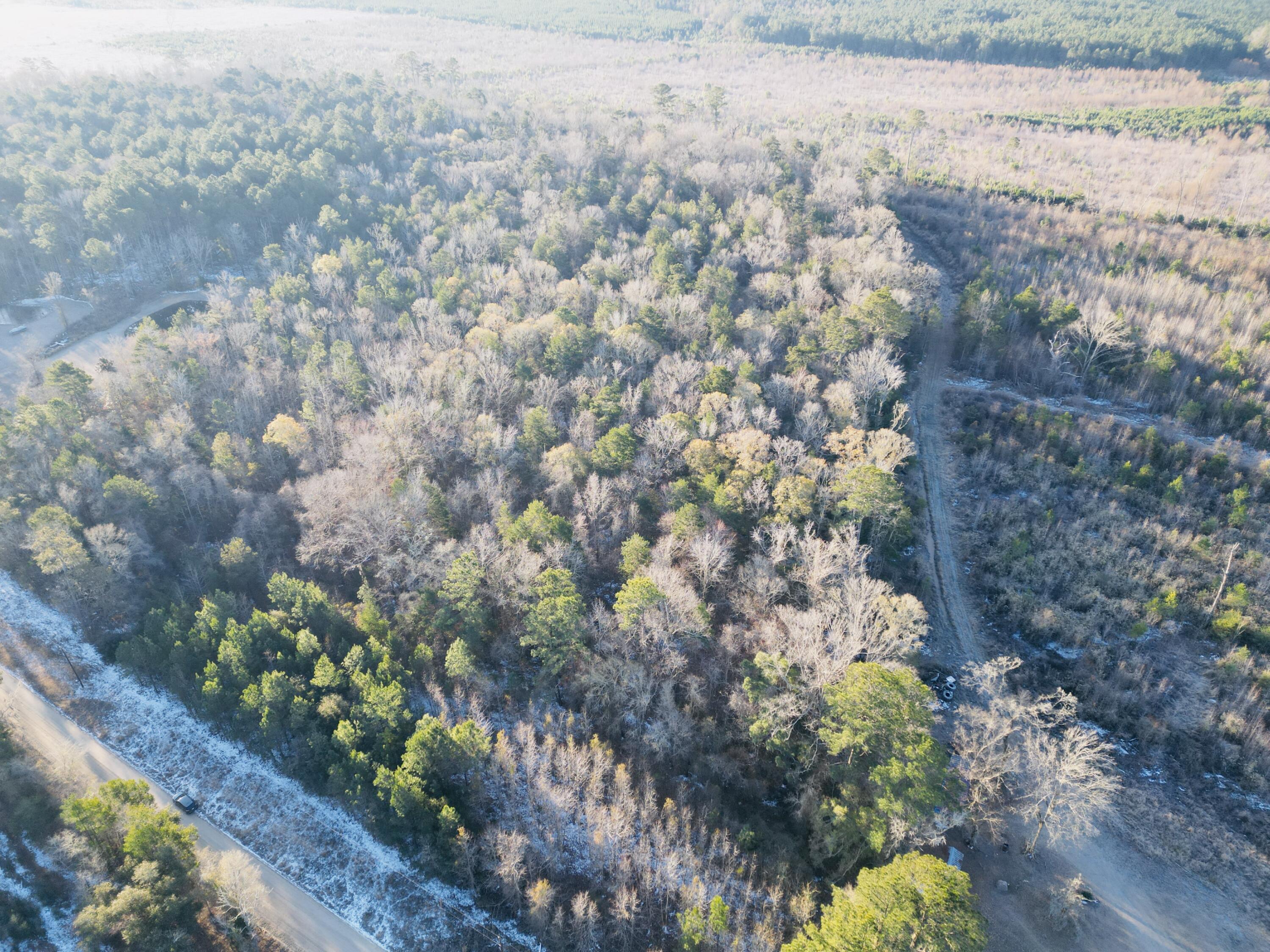 0 Hyde Park Road Adams Run, SC 29426 - Photo 15 of 37 15