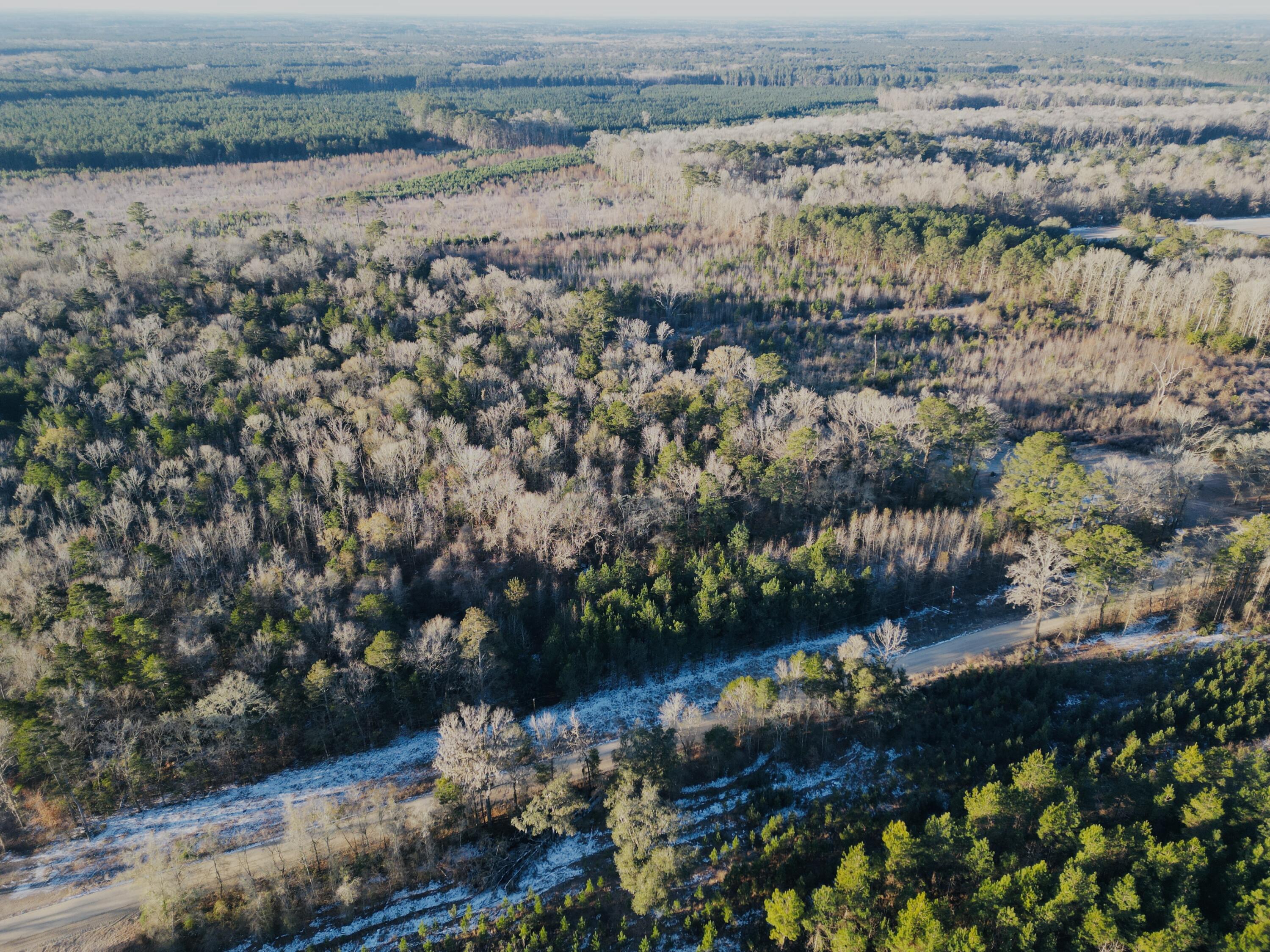 0 Hyde Park Road Adams Run, SC 29426 - Photo 18 of 37 18