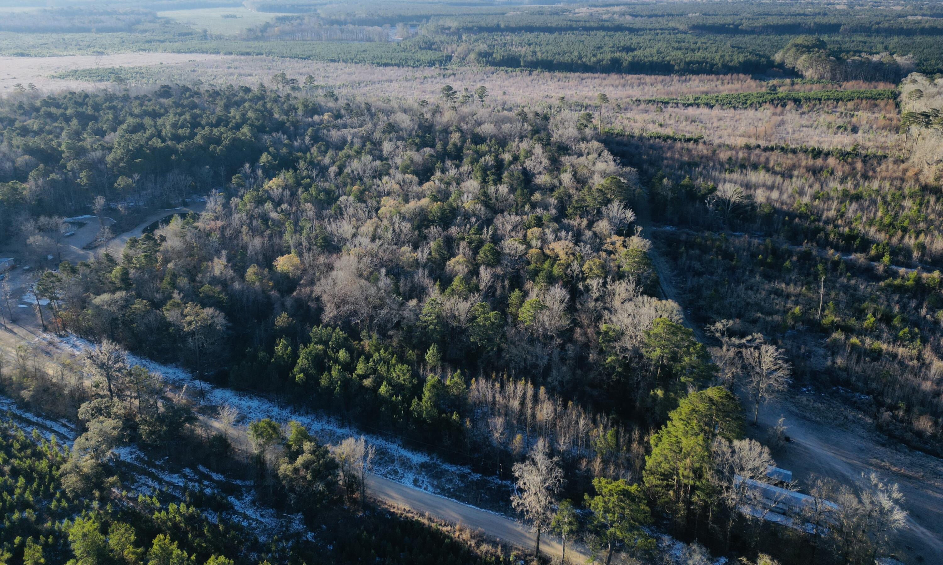 0 Hyde Park Road Adams Run, SC 29426 - Photo 19 of 37 19