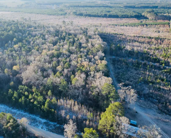 $350,000 | 0 Hyde Park Road, Adams Run, SC 29426