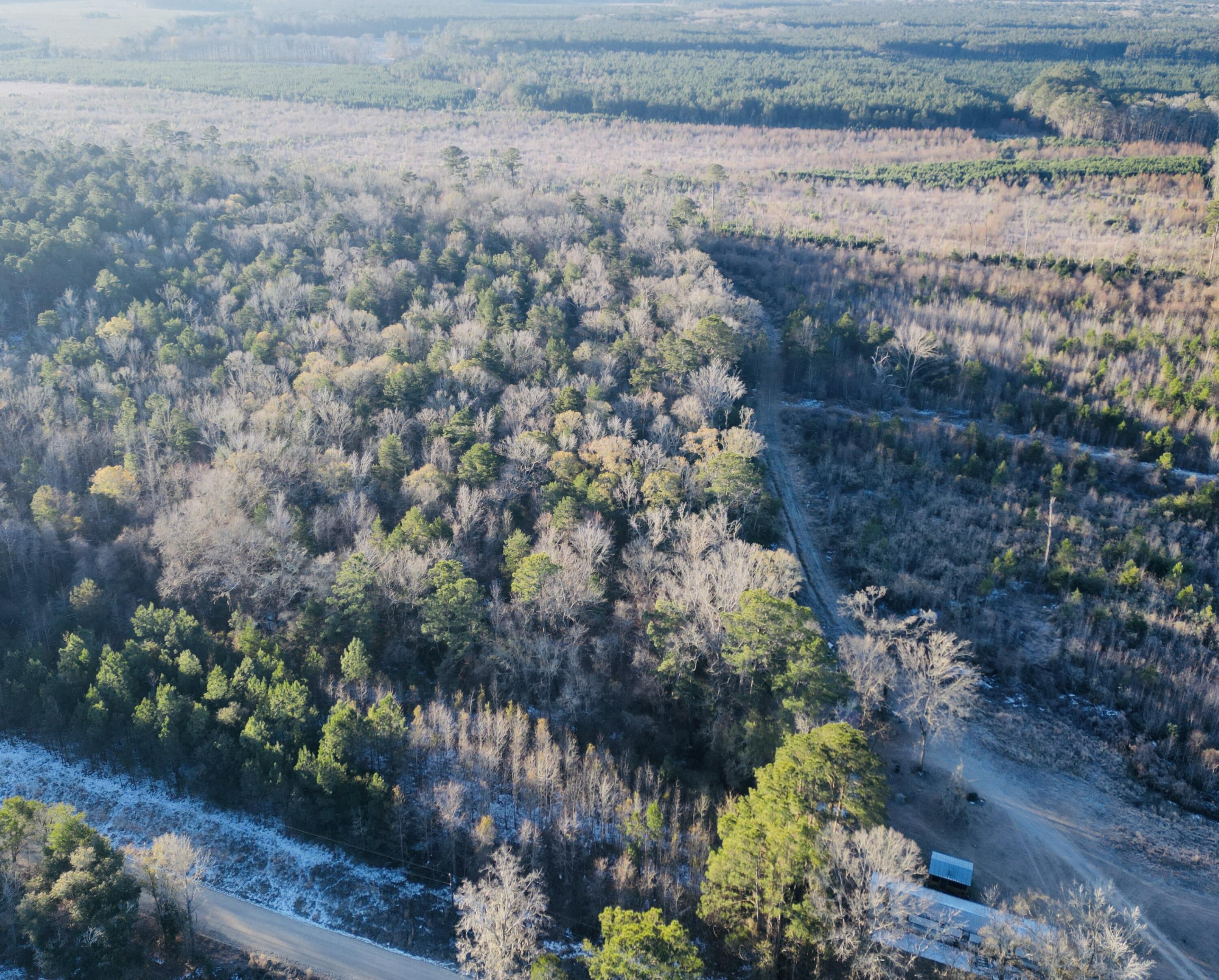 0 Hyde Park Road Adams Run, SC 29426 - Photo 2 of 37 2