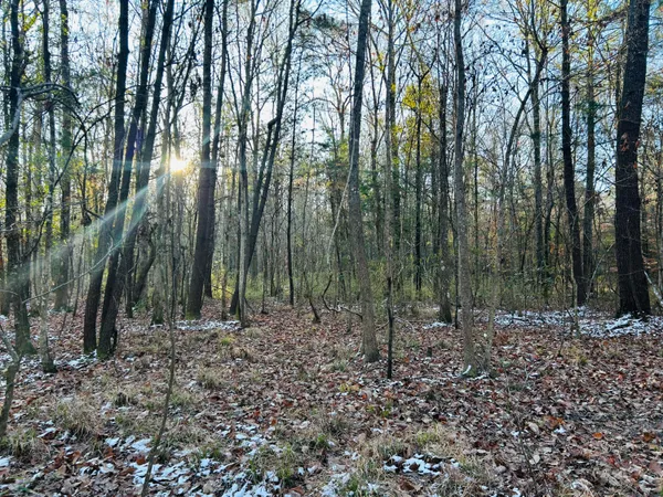$350,000 | 0 Hyde Park Road, Adams Run, SC 29426