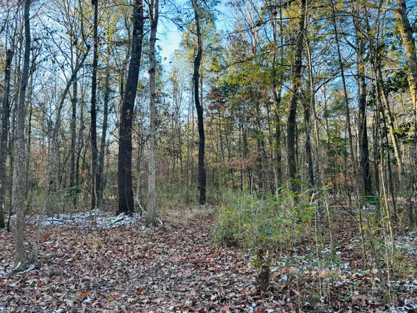 $350,000 | 0 Hyde Park Road, Adams Run, SC 29426