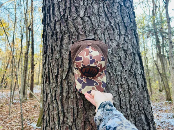 $350,000 | 0 Hyde Park Road, Adams Run, SC 29426