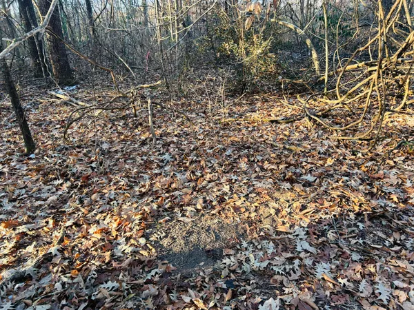 $350,000 | 0 Hyde Park Road, Adams Run, SC 29426