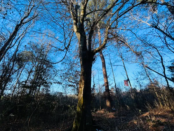 $350,000 | 0 Hyde Park Road, Adams Run, SC 29426