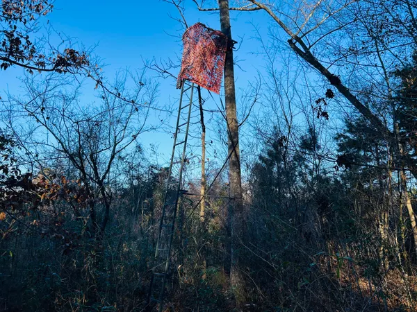 $350,000 | 0 Hyde Park Road, Adams Run, SC 29426