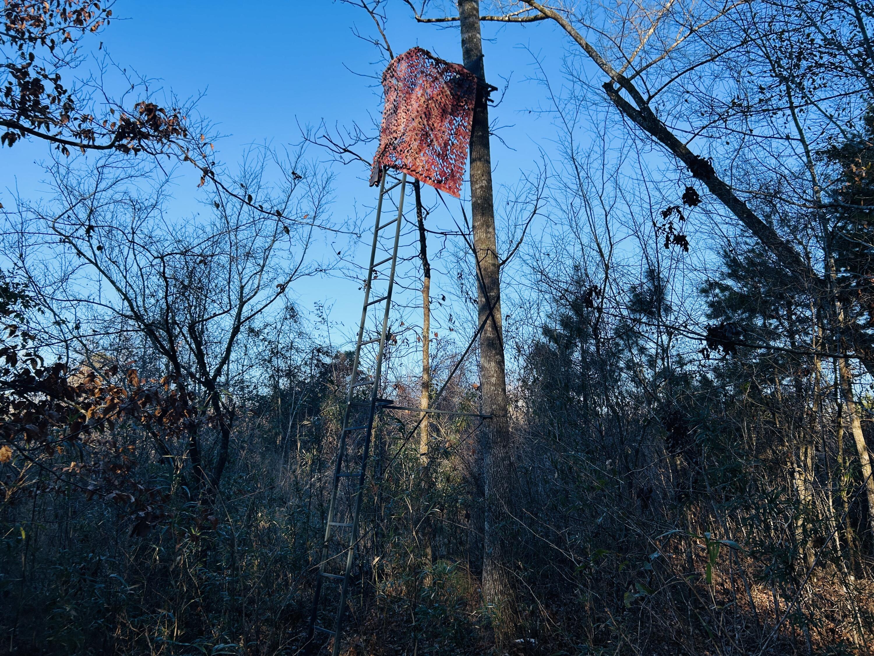 0 Hyde Park Road Adams Run, SC 29426 - Photo 28 of 37 28