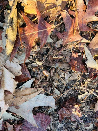 $350,000 | 0 Hyde Park Road, Adams Run, SC 29426