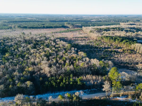 $350,000 | 0 Hyde Park Road, Adams Run, SC 29426