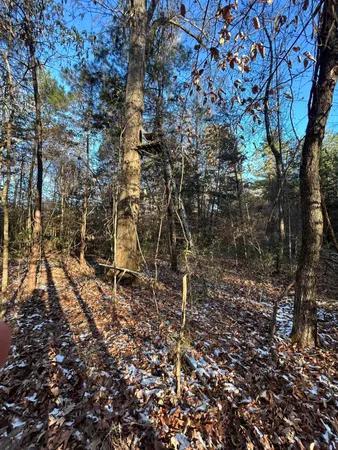 $350,000 | 0 Hyde Park Road, Adams Run, SC 29426