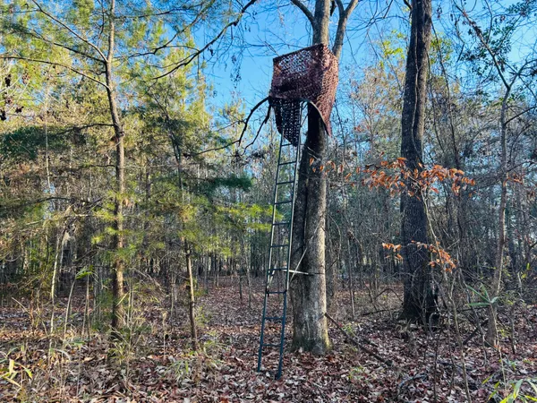 $350,000 | 0 Hyde Park Road, Adams Run, SC 29426