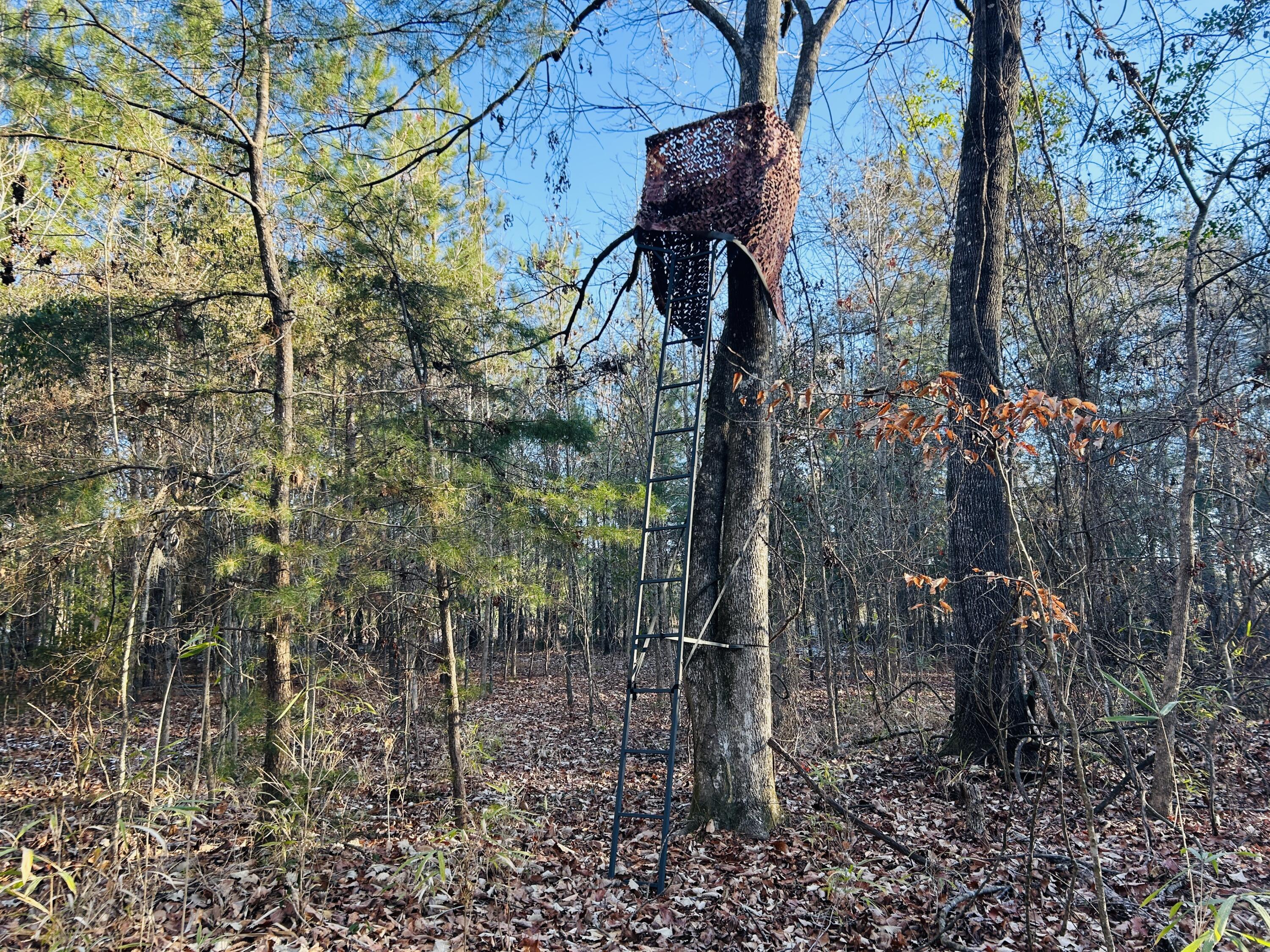 0 Hyde Park Road Adams Run, SC 29426 - Photo 35 of 37 35