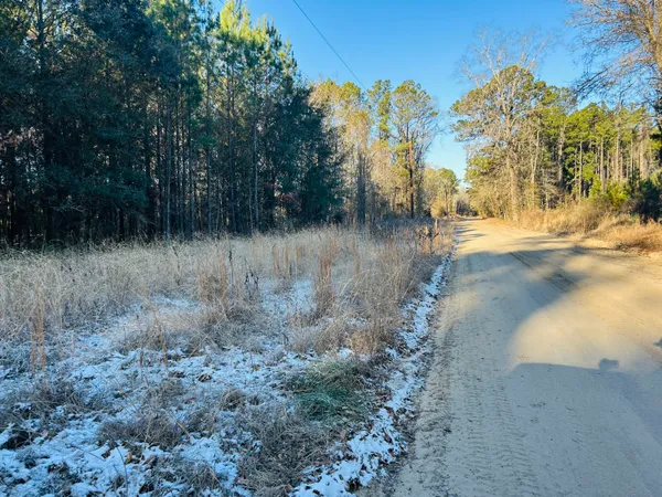 $350,000 | 0 Hyde Park Road, Adams Run, SC 29426