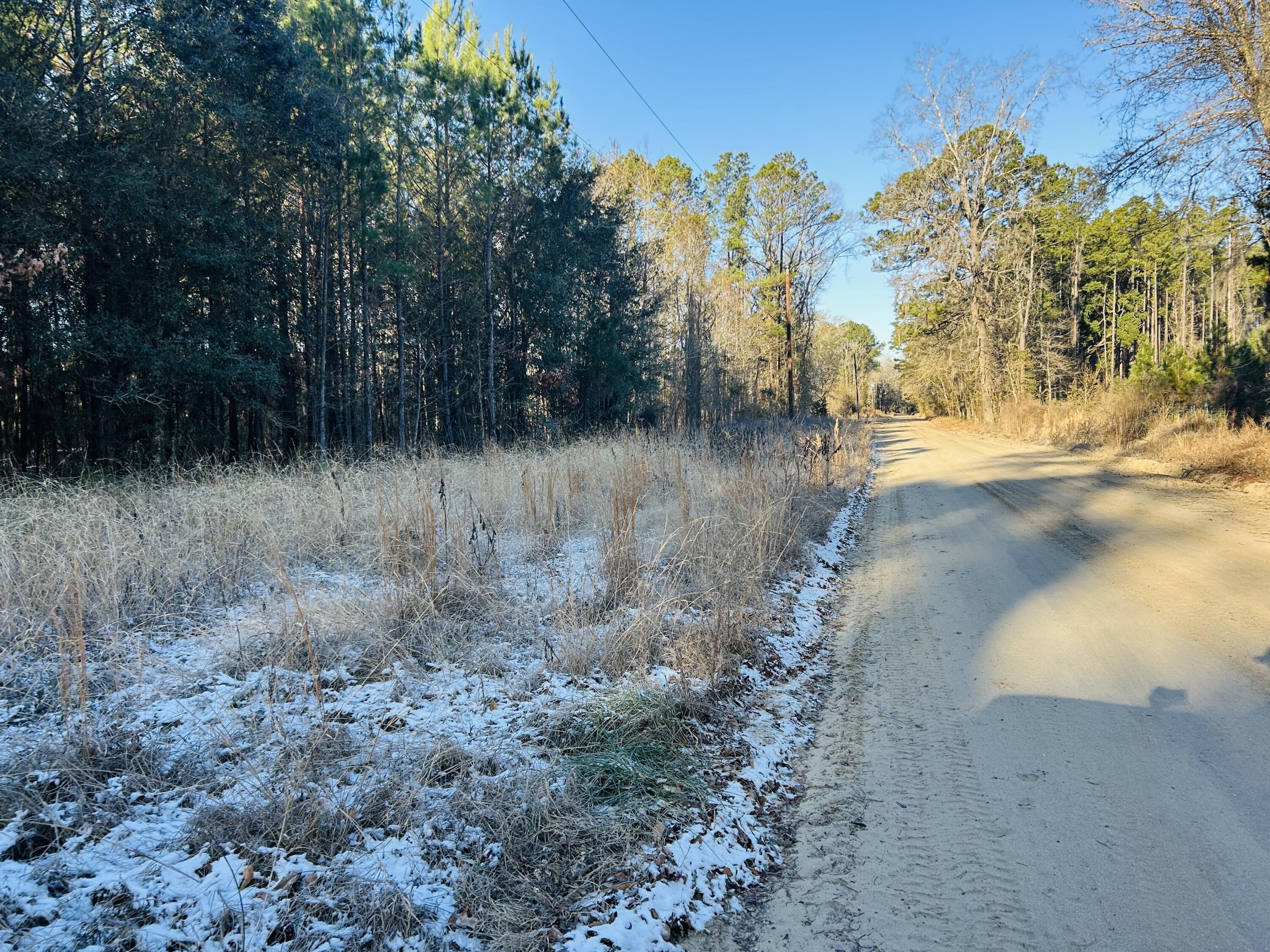 0 Hyde Park Road Adams Run, SC 29426 - Photo 37 of 37 37