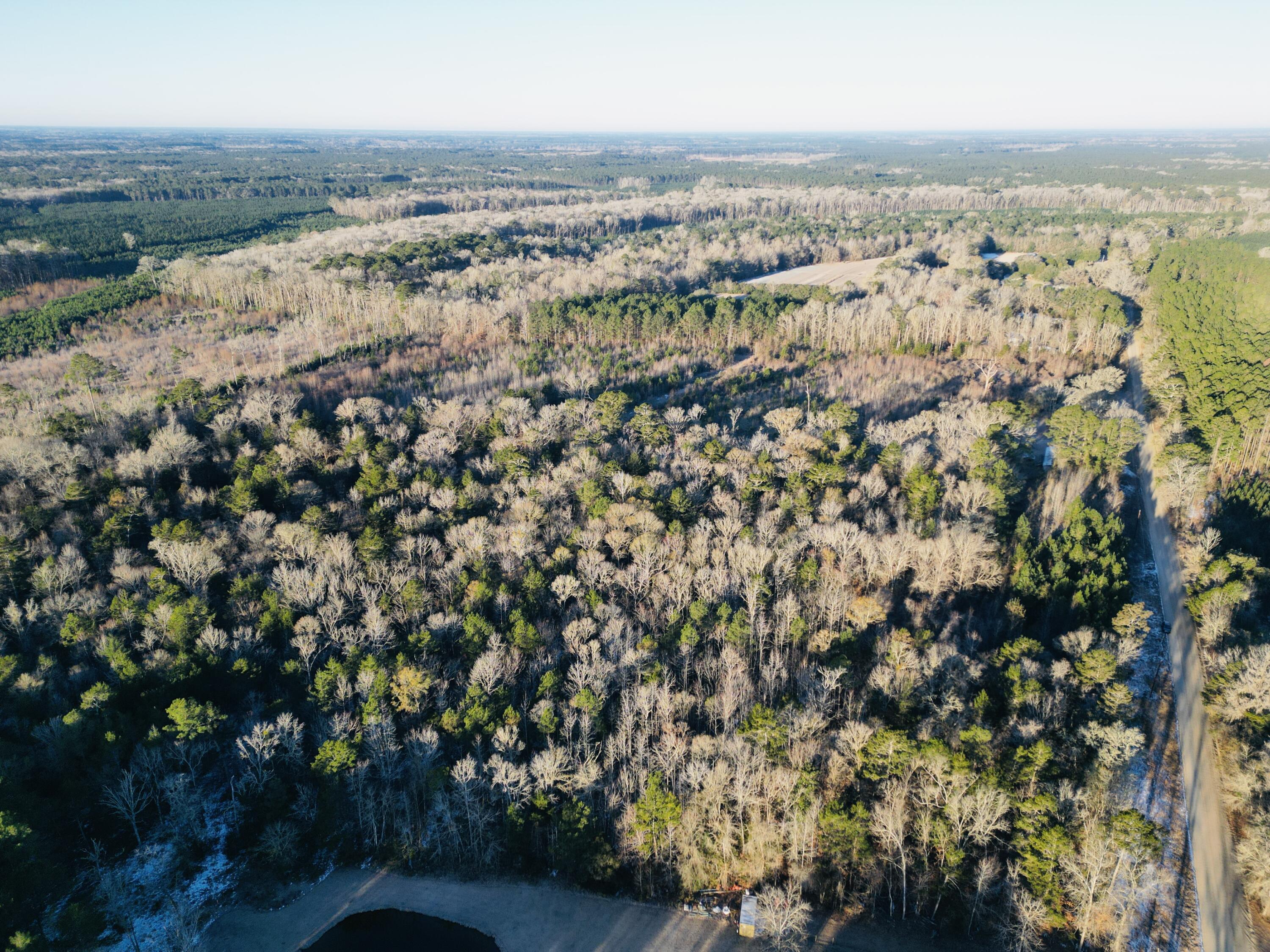 0 Hyde Park Road Adams Run, SC 29426 - Photo 5 of 37 5