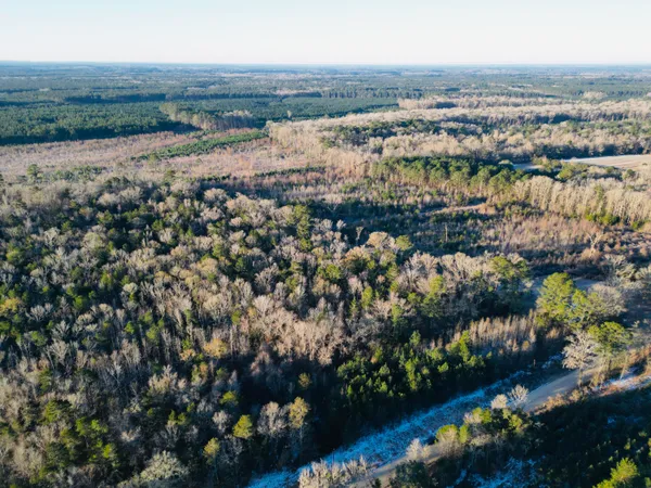 $350,000 | 0 Hyde Park Road, Adams Run, SC 29426