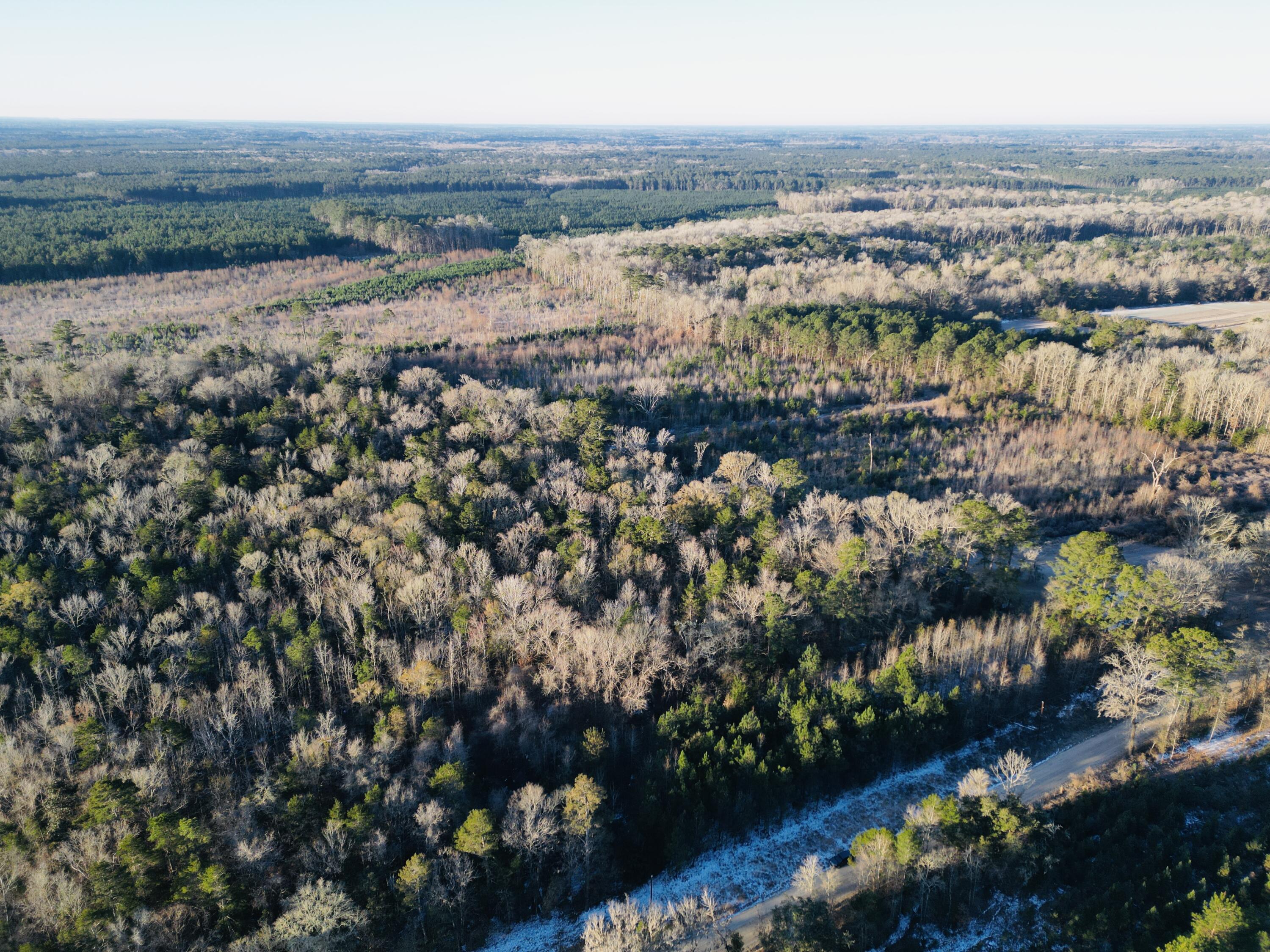 0 Hyde Park Road Adams Run, SC 29426 - Photo 9 of 37 9