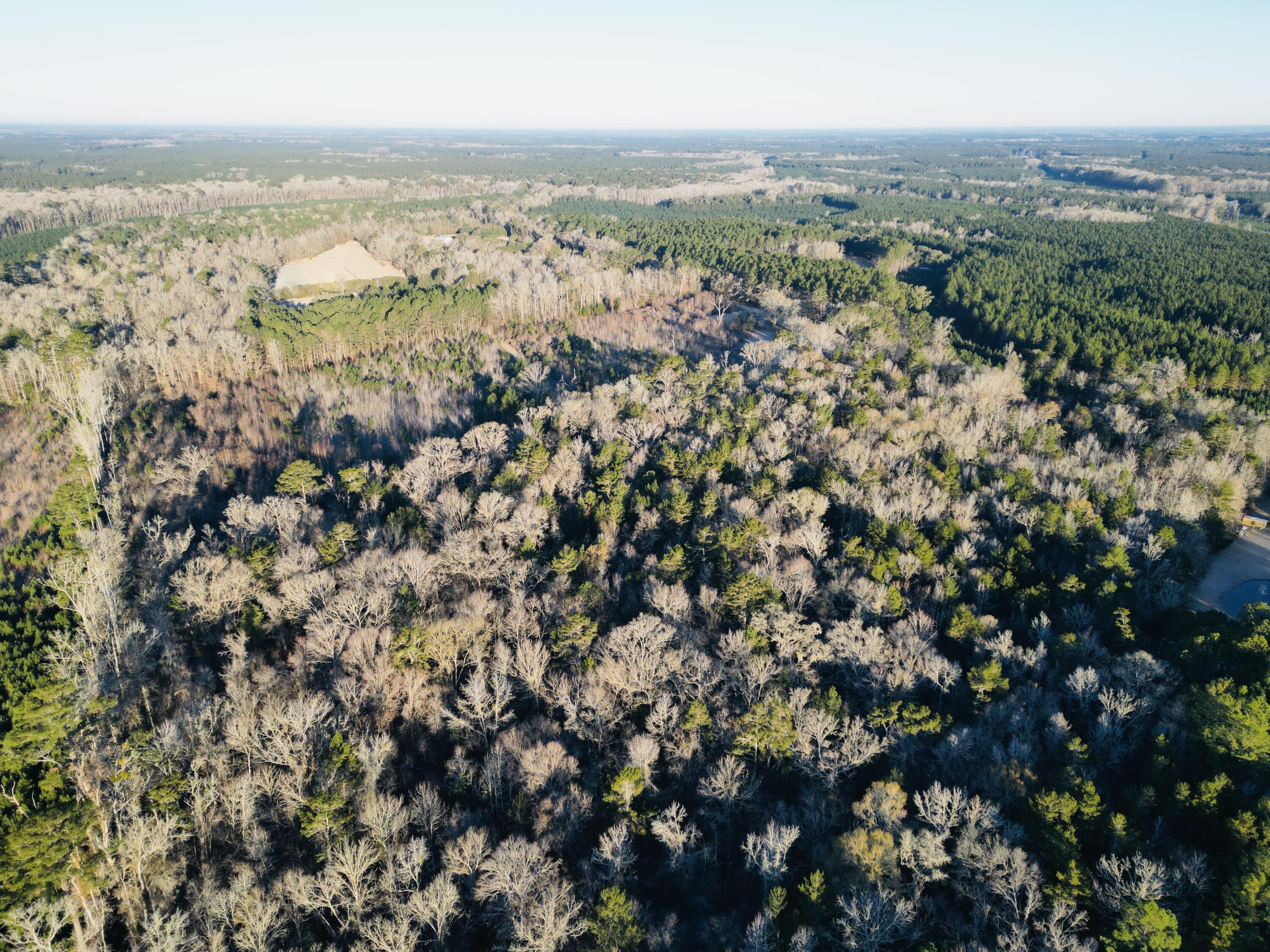 0 Hyde Park Road Adams Run, SC 29426 - Photo 10 of 37 10