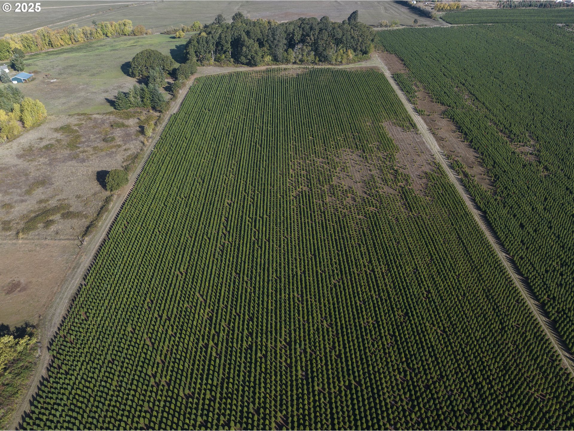 25110 Southwest Red Prairie Road Sheridan, OR 97378 - Photo 26 of 32