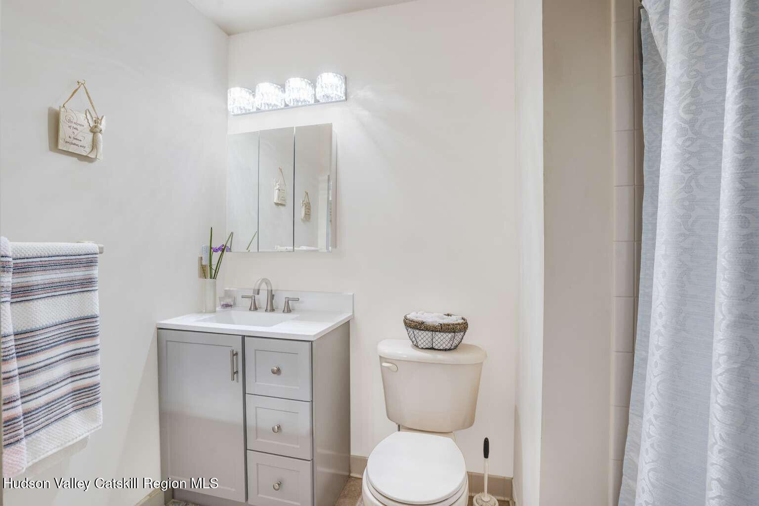 257 Bruynswick Road New Paltz, NY 12561 - Photo 16 of 23 a bathroom with a toilet a sink and mirror