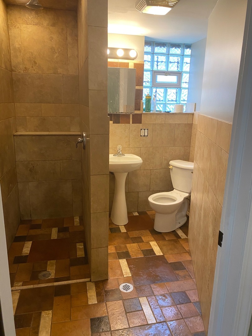 6732 South Peoria Street Chicago, IL 60621 - Photo 8 of 16 a bathroom with a toilet and a shower