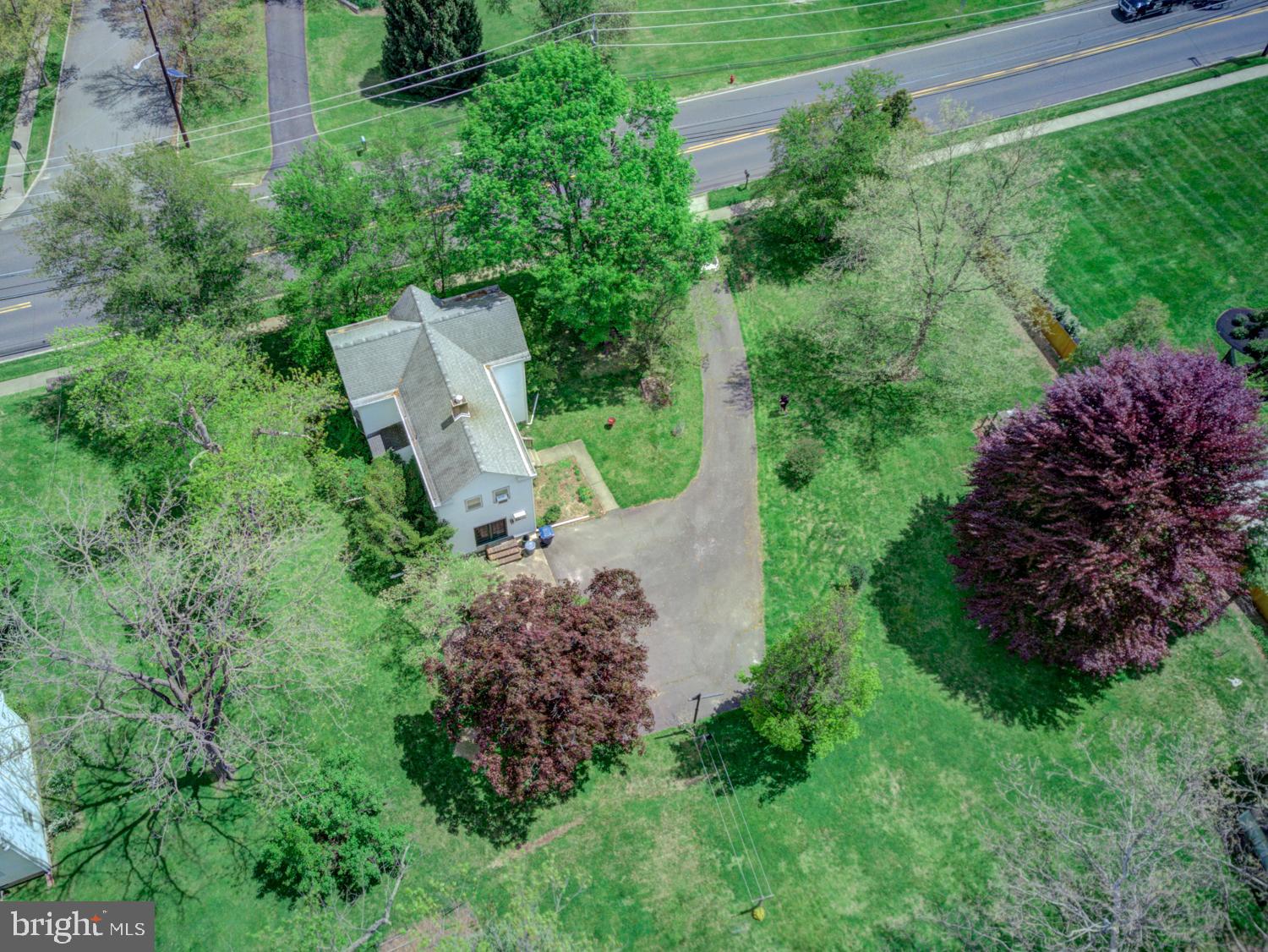 145 Federal City Road Trenton, NJ 08648 - Photo 5 of 31 gorgeous copper beech tree!