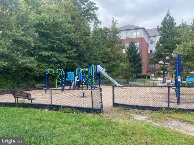 a view of a park with large trees