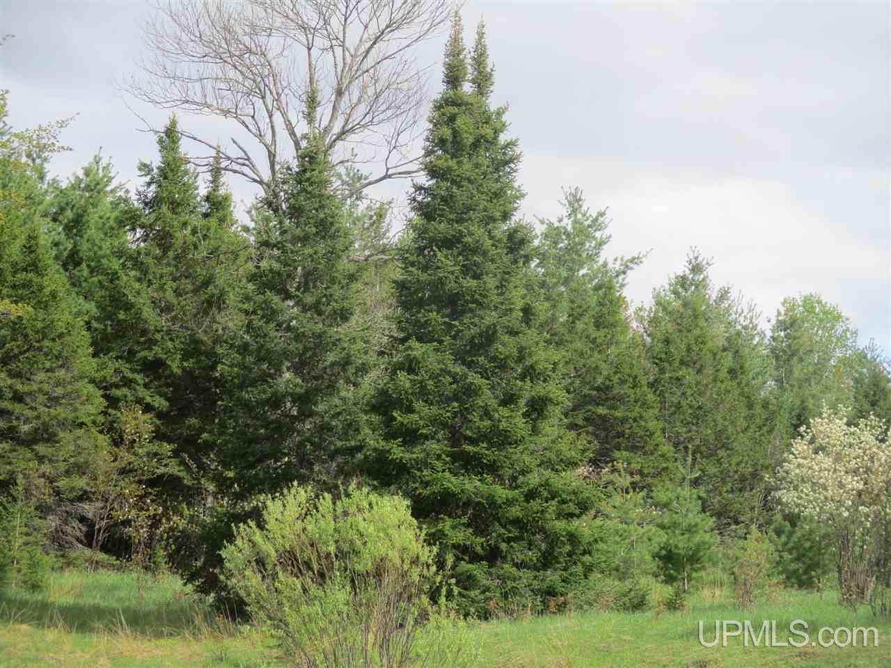 Tbd Tbd Harden Road Mass City, MI 49948 - Photo 8 of 8