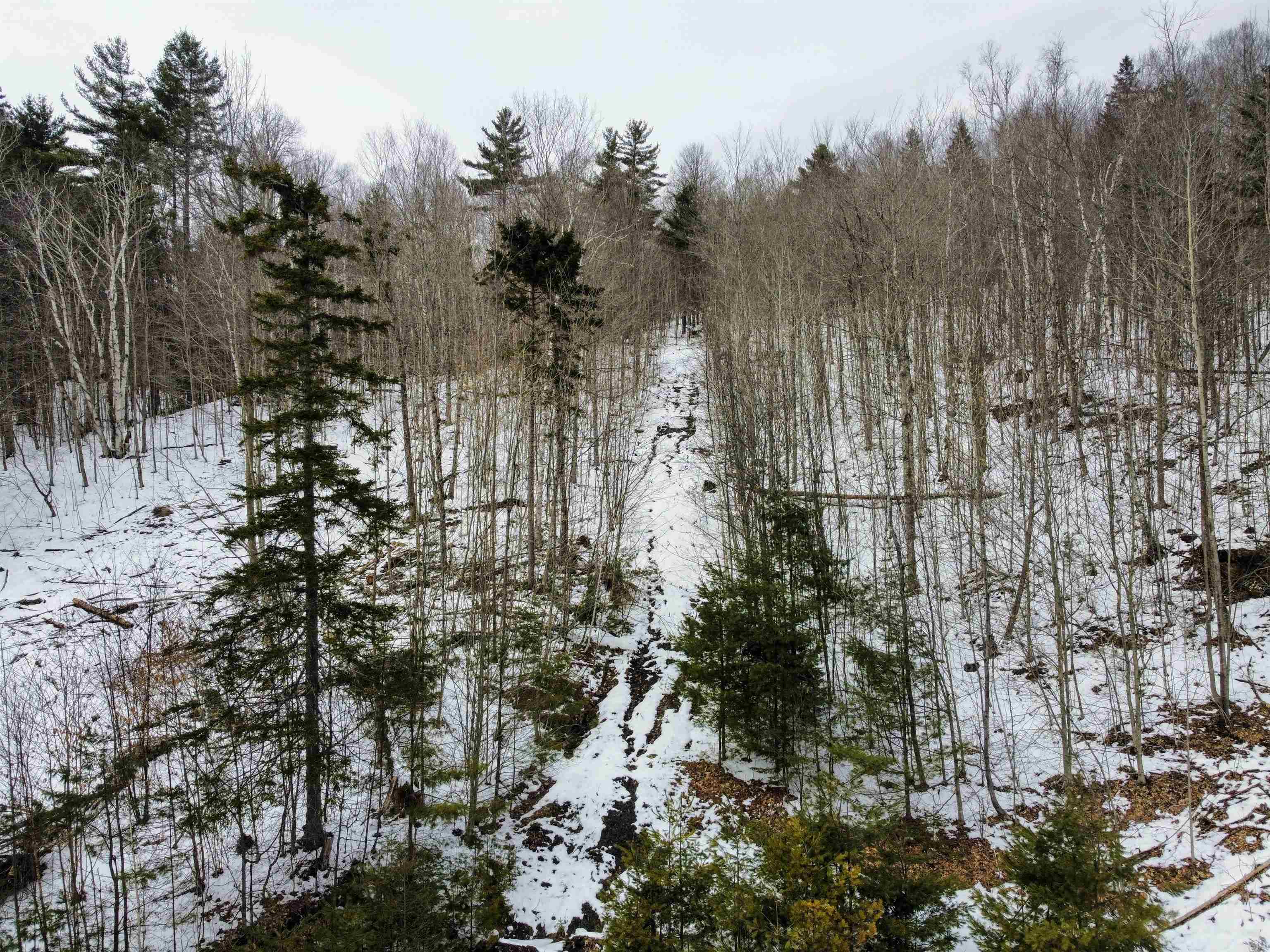 2290 Richardson Road Corinth, VT 05039 - Photo 5 of 29