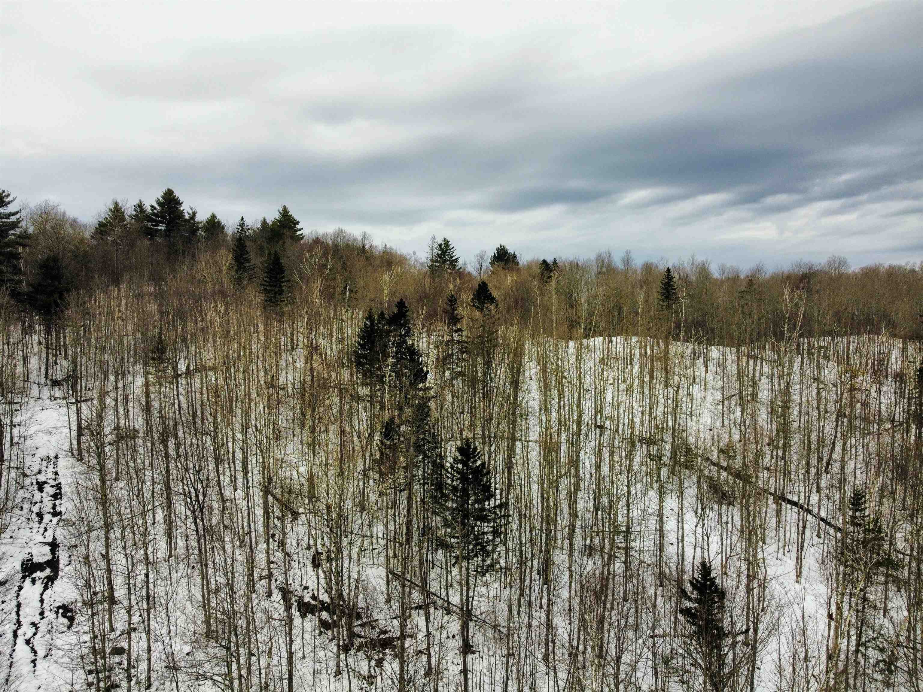2290 Richardson Road Corinth, VT 05039 - Photo 6 of 29