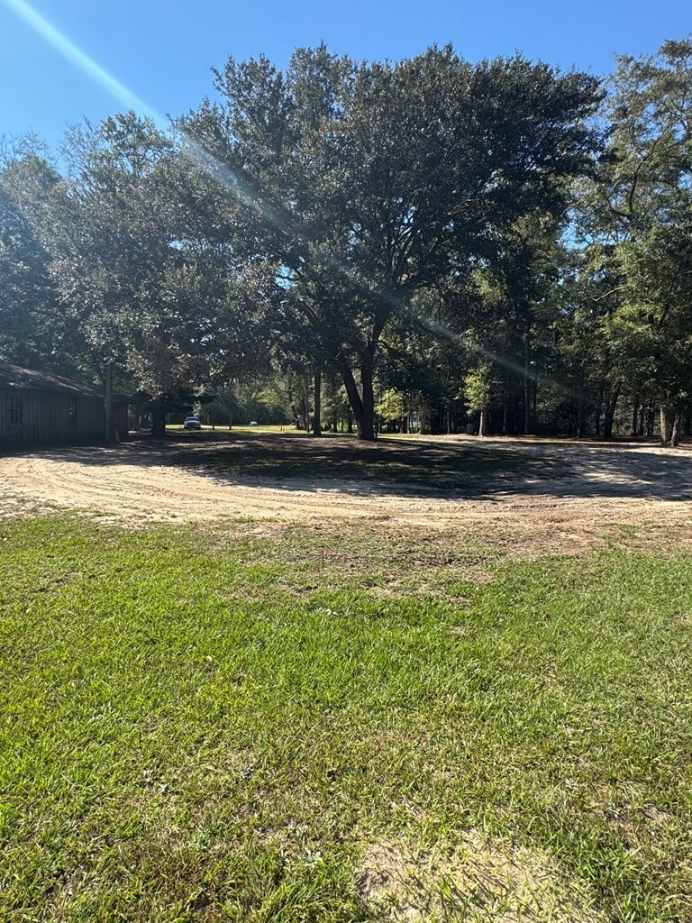0 Russell Road Samson, AL 36477 - Photo 24 of 32