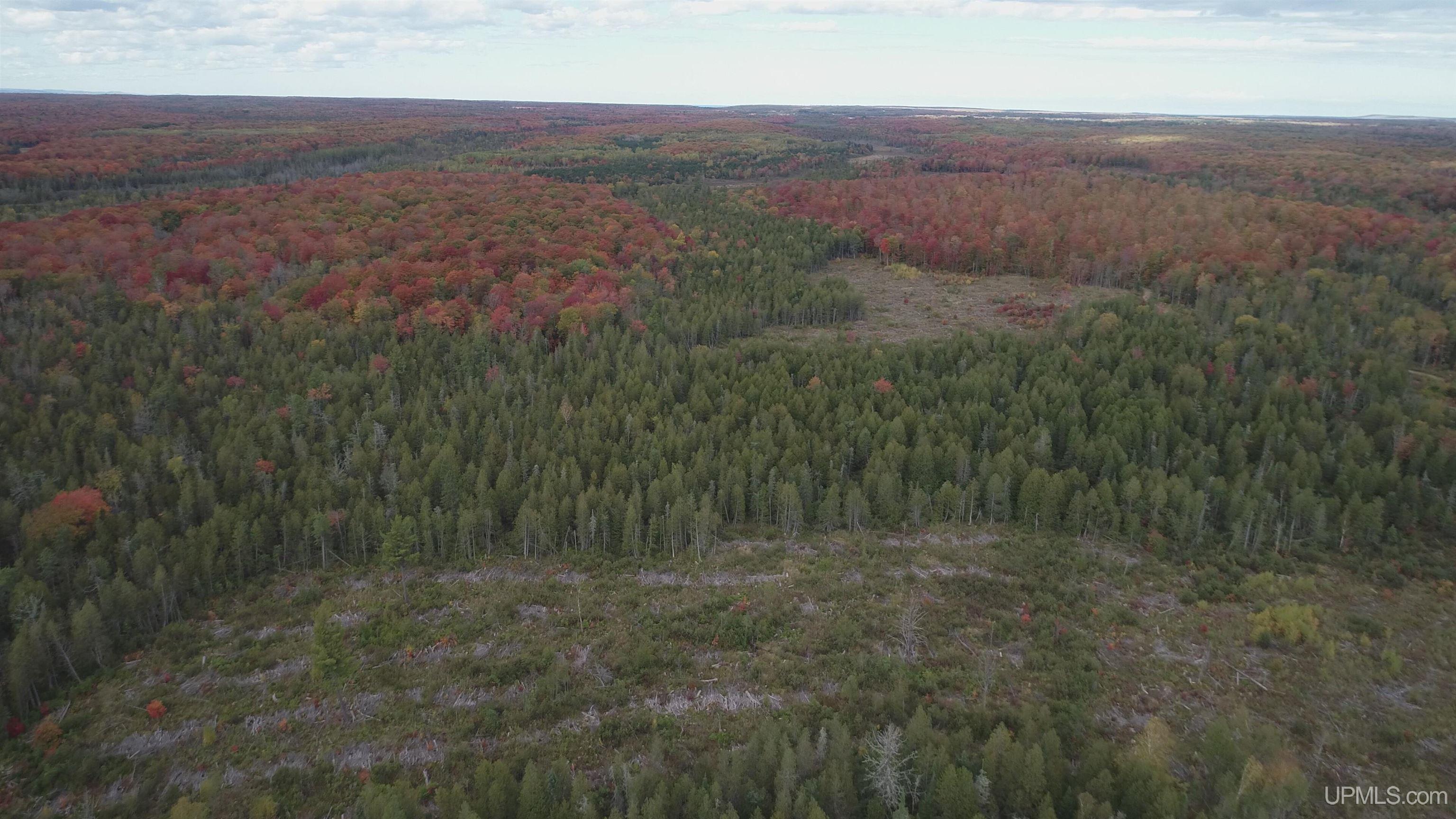 327 Rd Rumely Mi 49826 Road Skandia, MI 49885 - Photo 18 of 23