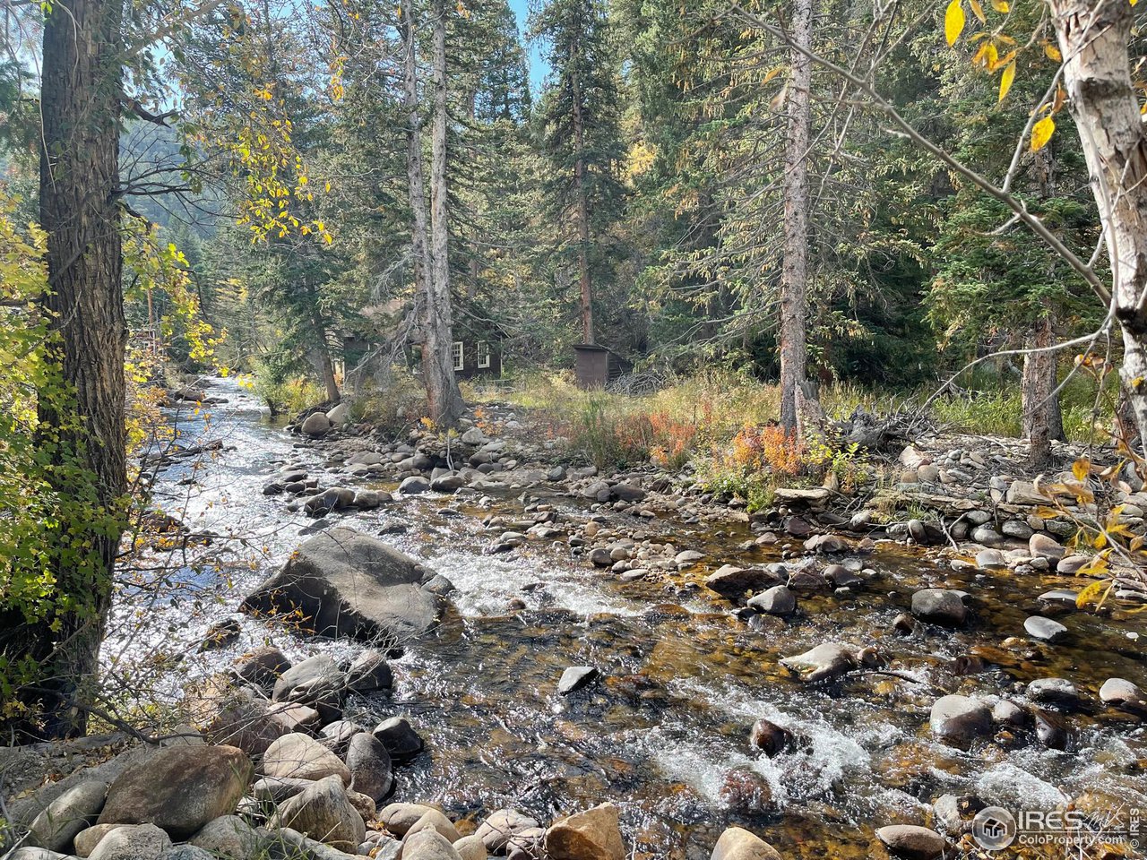 a view of a tree with a yard