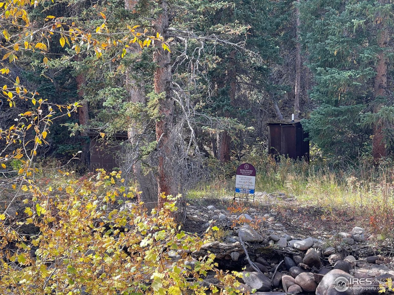 2203 Riverside Drive Lyons, CO 80540 - Photo 11 of 16 a view of a yard with a tree