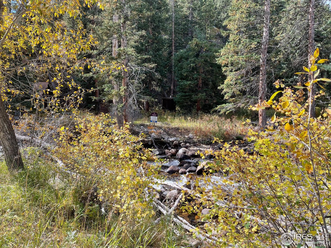 2203 Riverside Drive Lyons, CO 80540 - Photo 12 of 16 a view of a yard with plants