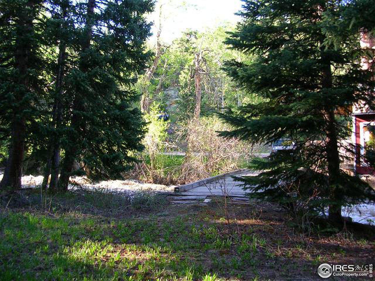 2203 Riverside Drive Lyons, CO 80540 - Photo 16 of 16 a view of a yard with a tree