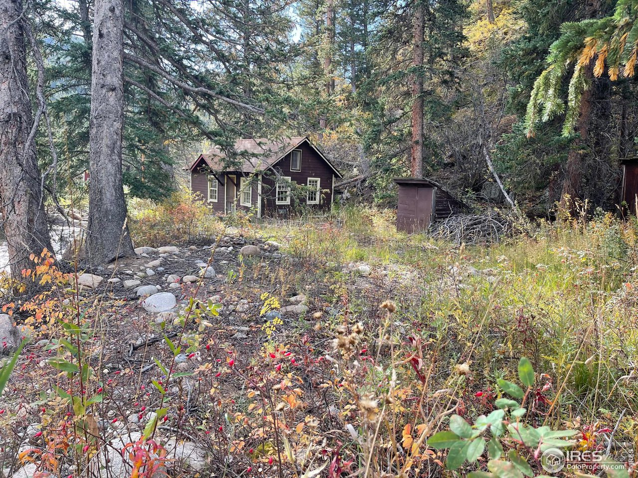 2203 Riverside Drive Lyons, CO 80540 - Photo 2 of 16 a backyard of a house with lots of green space