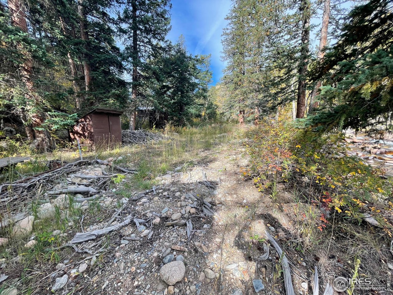 2203 Riverside Drive Lyons, CO 80540 - Photo 8 of 16 a backyard of a house with lots of plants and large trees